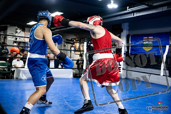 Cougar Boxing -0333