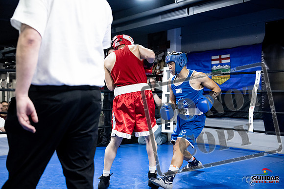 Cougar Boxing -0334