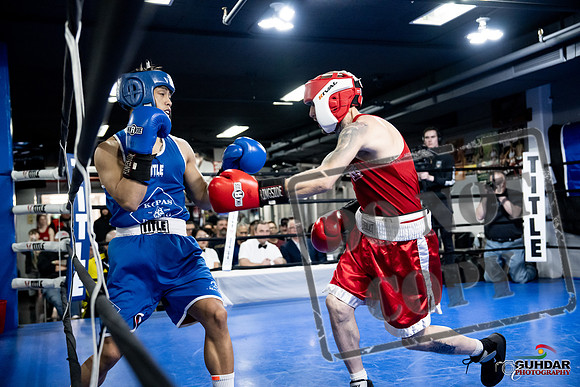 Cougar Boxing -0337