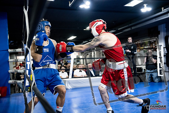 Cougar Boxing -0338