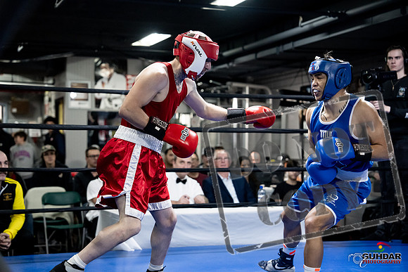 Cougar Boxing -0339
