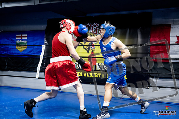 Cougar Boxing -0340