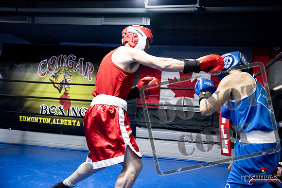 Cougar Boxing -0342