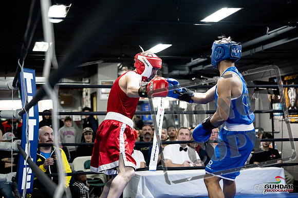 Cougar Boxing -0344