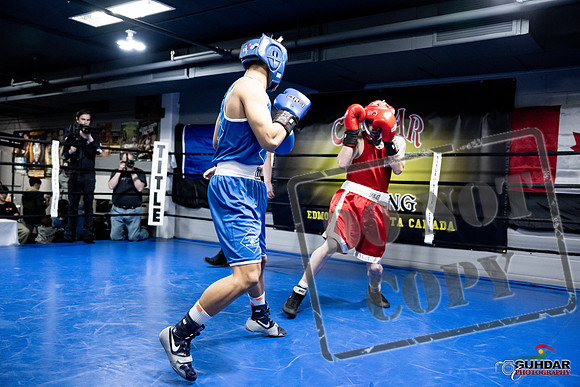 Cougar Boxing -0347