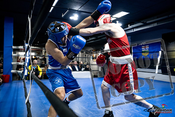Cougar Boxing -0351