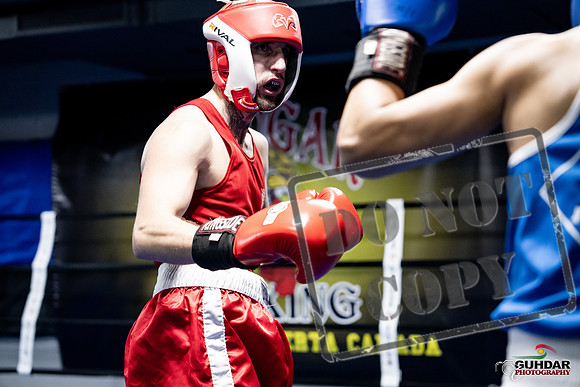 Cougar Boxing -0352