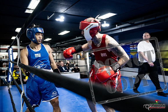Cougar Boxing -0353