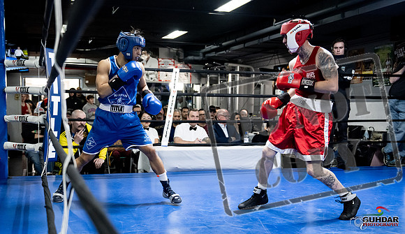 Cougar Boxing -0355
