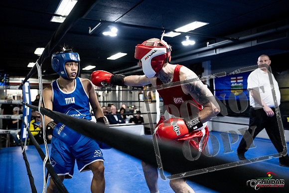Cougar Boxing -0354