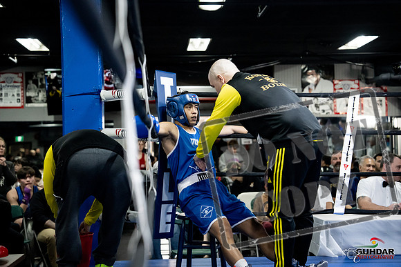 Cougar Boxing -0358