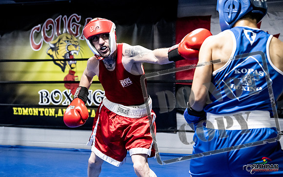 Cougar Boxing -0361