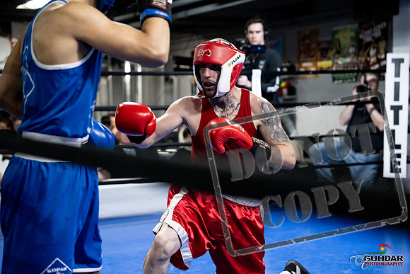Cougar Boxing -0362