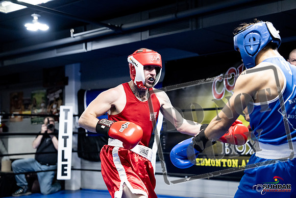 Cougar Boxing -0363