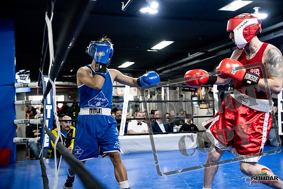 Cougar Boxing -0365