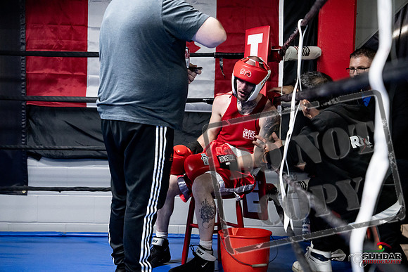 Cougar Boxing -0368