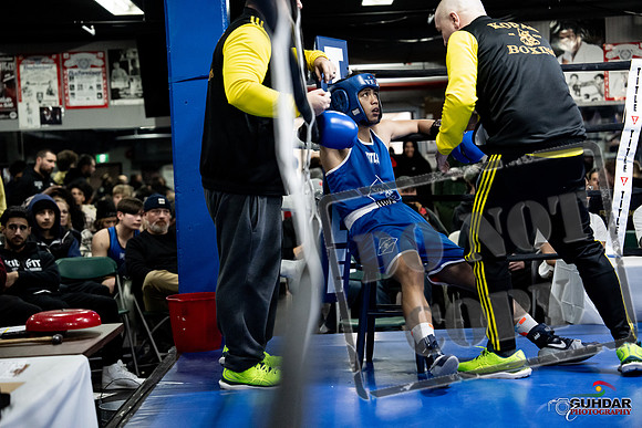 Cougar Boxing -0369