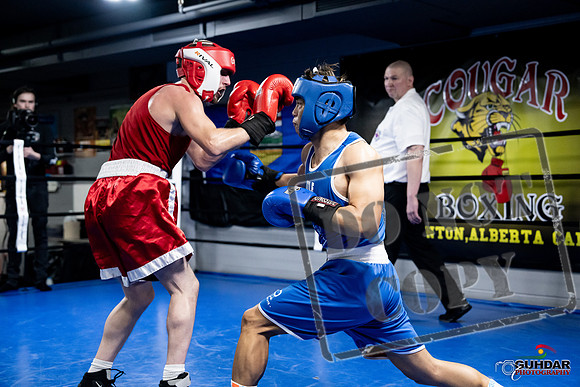 Cougar Boxing -0370