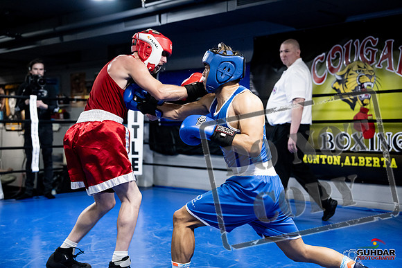 Cougar Boxing -0371