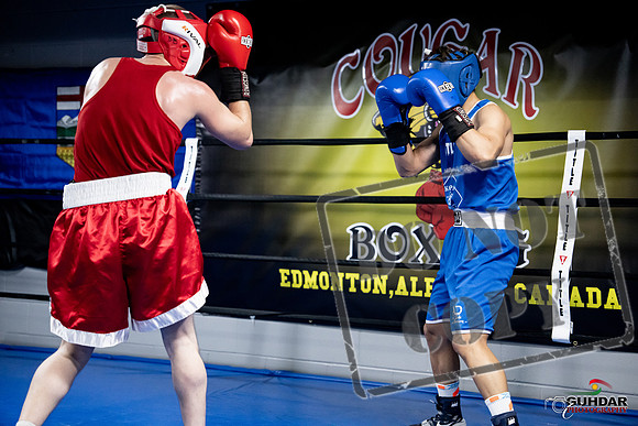 Cougar Boxing -0373
