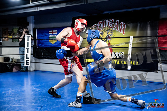Cougar Boxing -0374