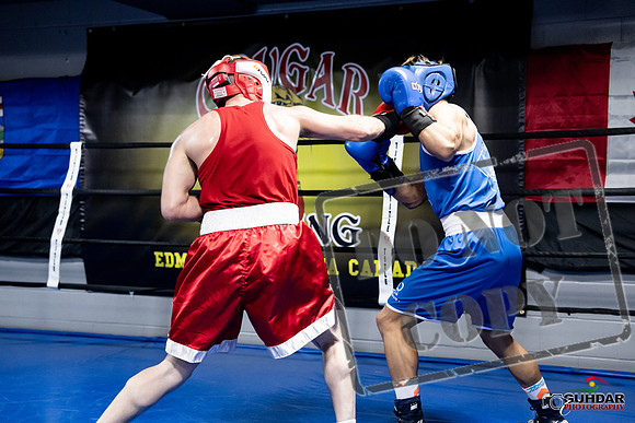 Cougar Boxing -0375
