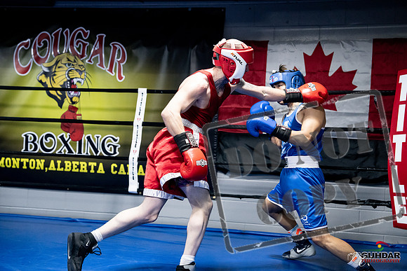 Cougar Boxing -0376