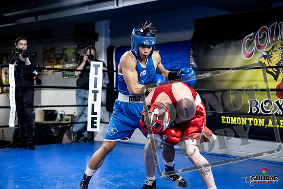 Cougar Boxing -0377