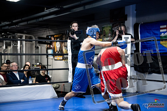 Cougar Boxing -0379