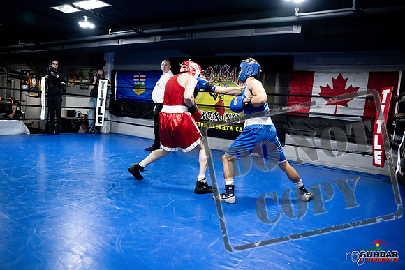 Cougar Boxing -0380