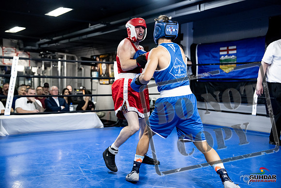 Cougar Boxing -0381
