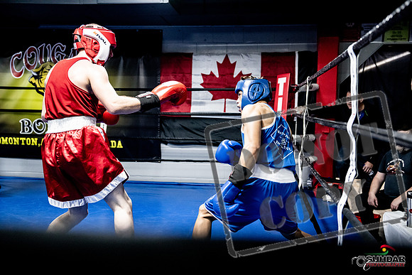 Cougar Boxing -0383