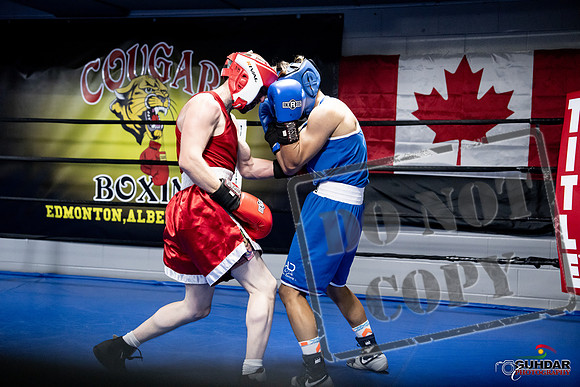 Cougar Boxing -0384