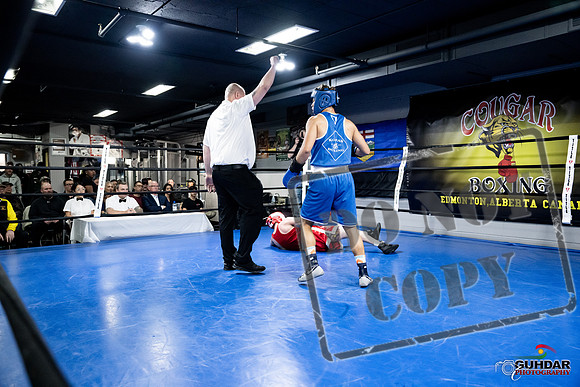 Cougar Boxing -0385