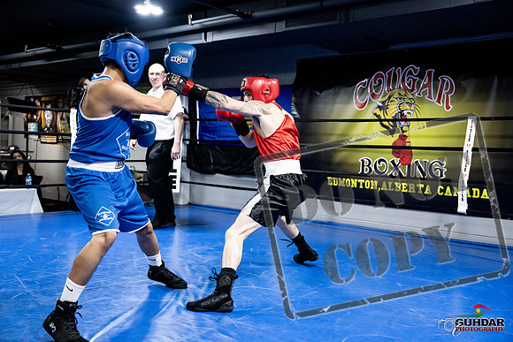 Cougar Boxing -0389