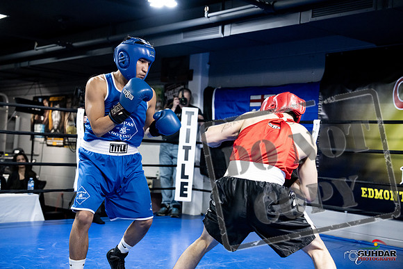 Cougar Boxing -0391