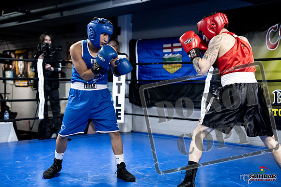 Cougar Boxing -0392
