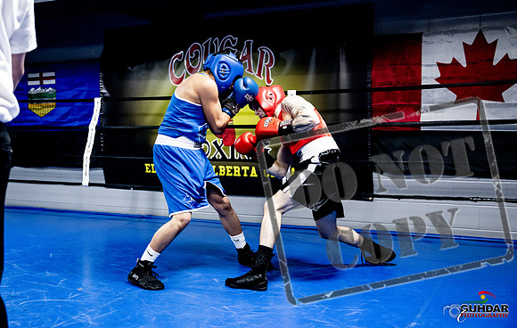 Cougar Boxing -0395