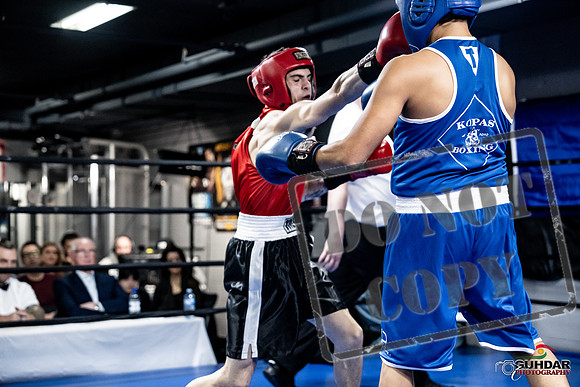 Cougar Boxing -0394