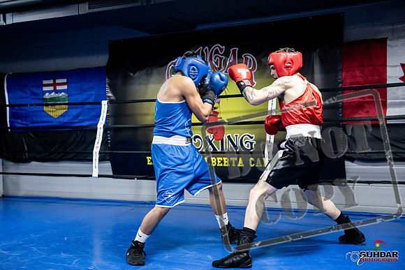 Cougar Boxing -0396