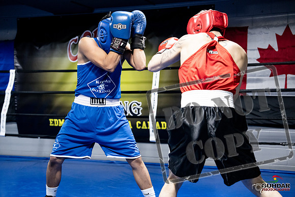 Cougar Boxing -0397