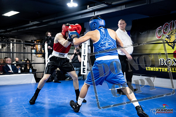 Cougar Boxing -0398
