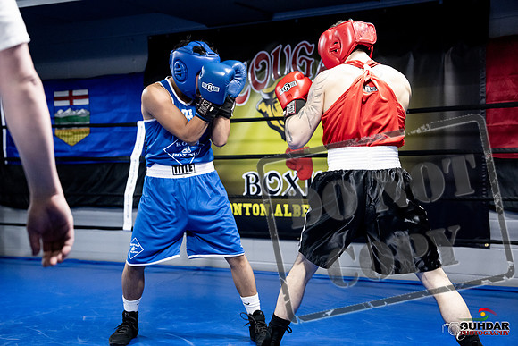 Cougar Boxing -0399