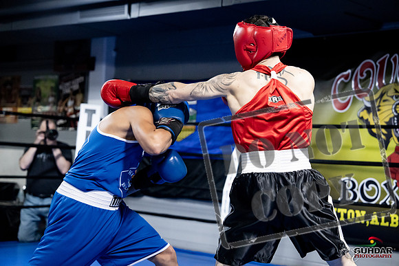 Cougar Boxing -0400