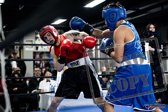Cougar Boxing -0401