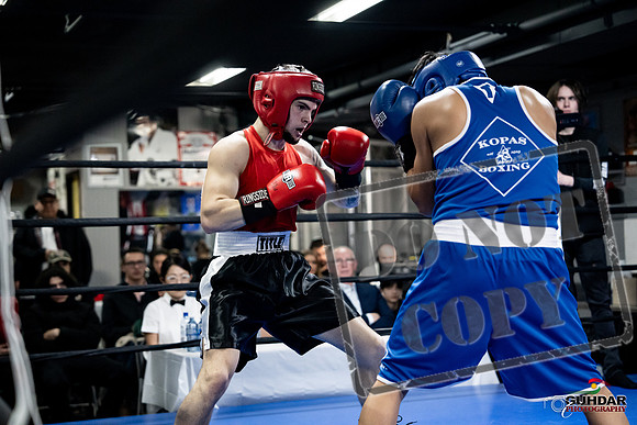 Cougar Boxing -0402