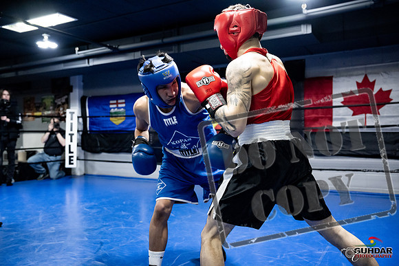Cougar Boxing -0403
