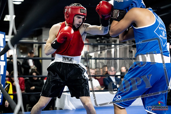Cougar Boxing -0404