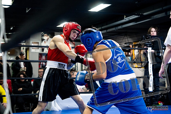 Cougar Boxing -0405