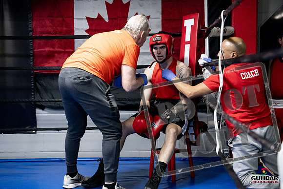 Cougar Boxing -0406